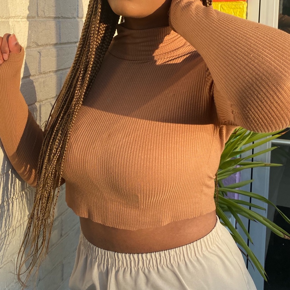 Brown cropped turtleneck
